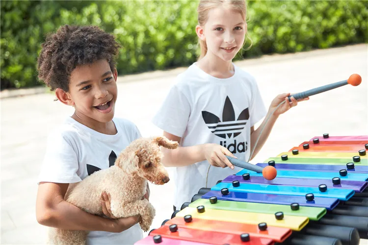 เครื่องดนตรีเคาะจังหวะสำหรับเด - Musical Instrument Park บทวิจารณ์และราคา