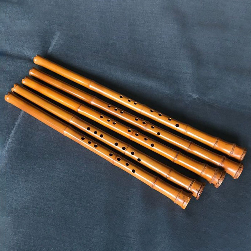 ขลุ่ยไม้ไผ่ 8 รู แบบจีน สำหรับ - Musical Instrument I Play บทวิจารณ์และราคา